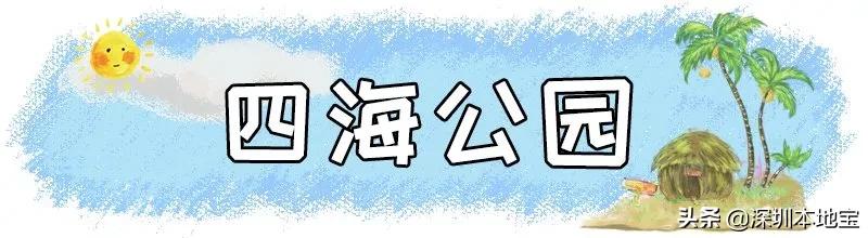 深圳有哪些地方免费景点,深圳都有什么景点免费游玩