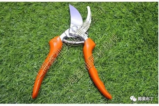 哪个品牌园艺剪刀好一点耐用,什么牌子的进口园艺剪刀最好