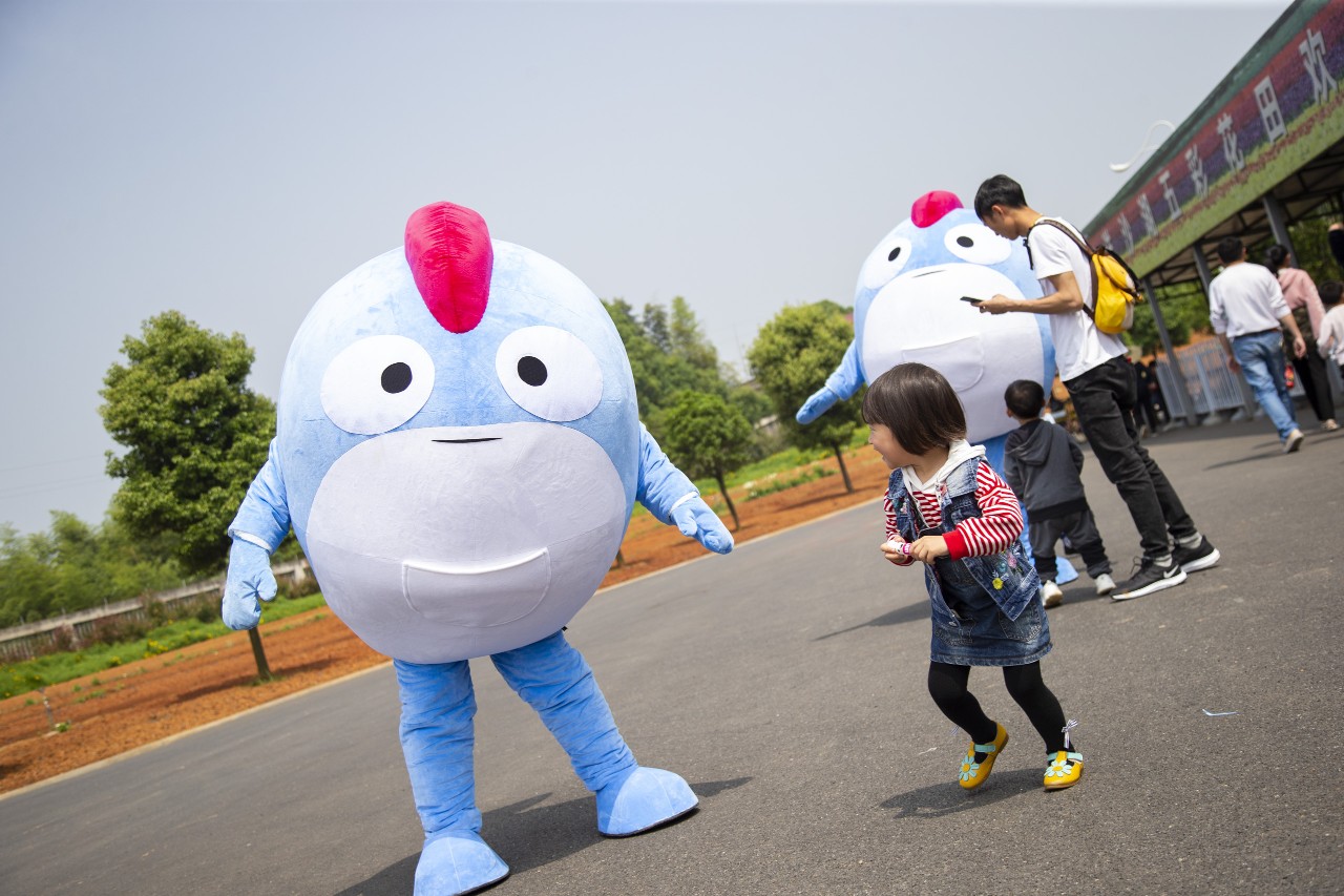 长沙洋沙湖,长沙洋湖附近游玩