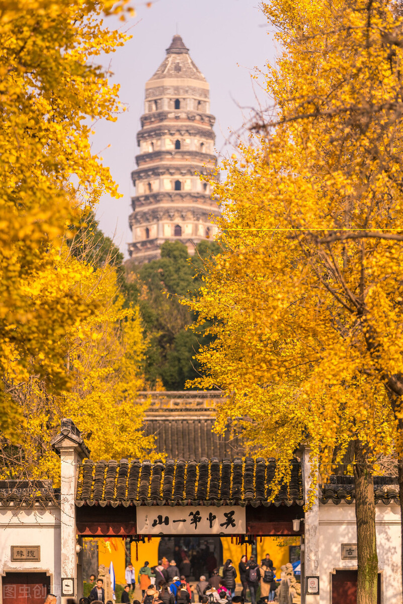 江南的秋天,温柔诗意,漫步姑苏城感受岁月静好,人间值得