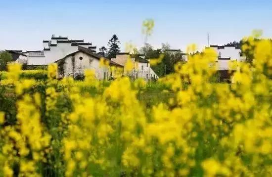 这是最值得收藏的旅行清单，顺着24节气，带娃游遍中国