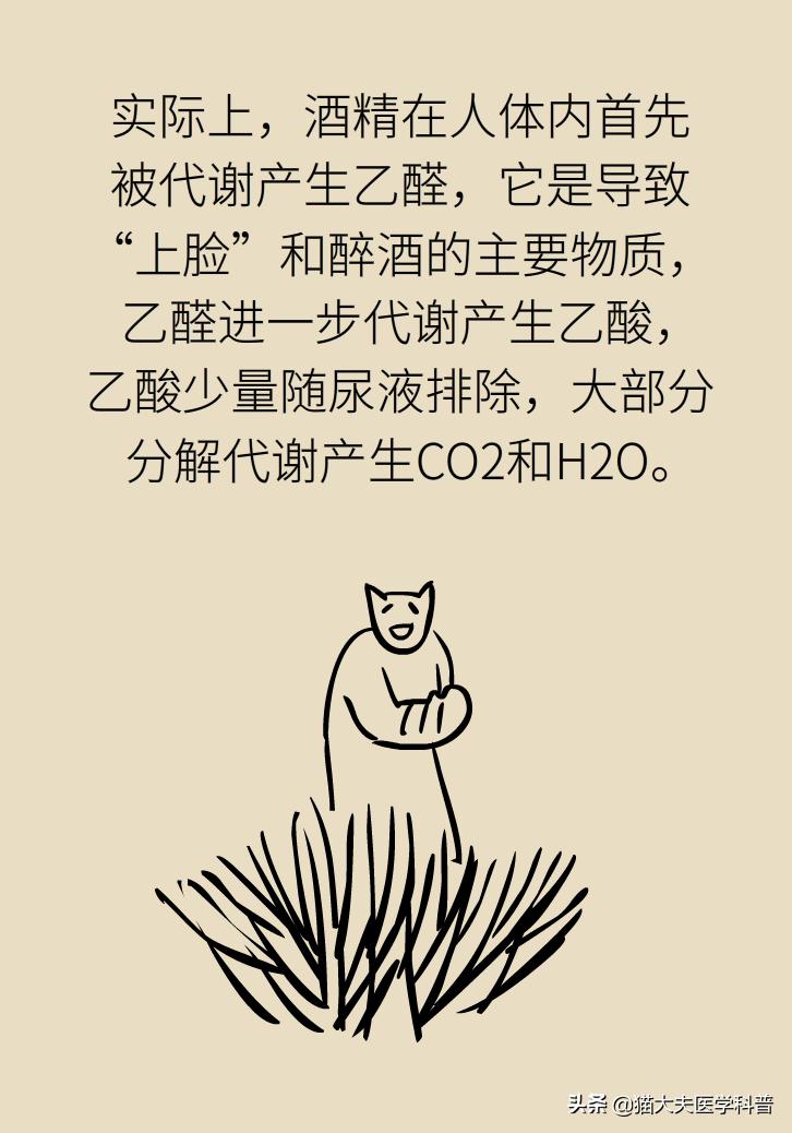 蜂蜜怎么喝通便效果最好,蜂蜜的功效与作用便秘喝什么