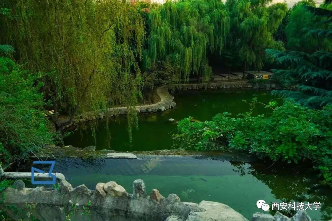 当遇上凡尔赛,当凡尔赛遇上凡尔赛