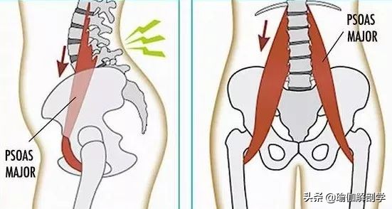拉伸髂腰肌的瑜伽体式,久坐的人如何拉伸髂腰肌