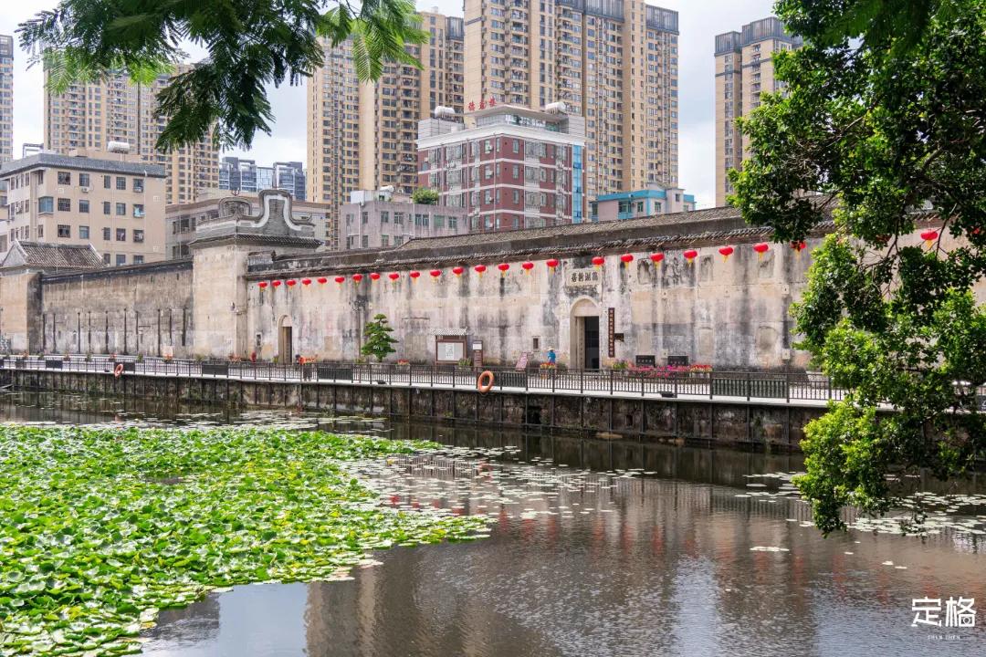 深圳周末打卡地点排行榜,深圳秋季打卡攻略