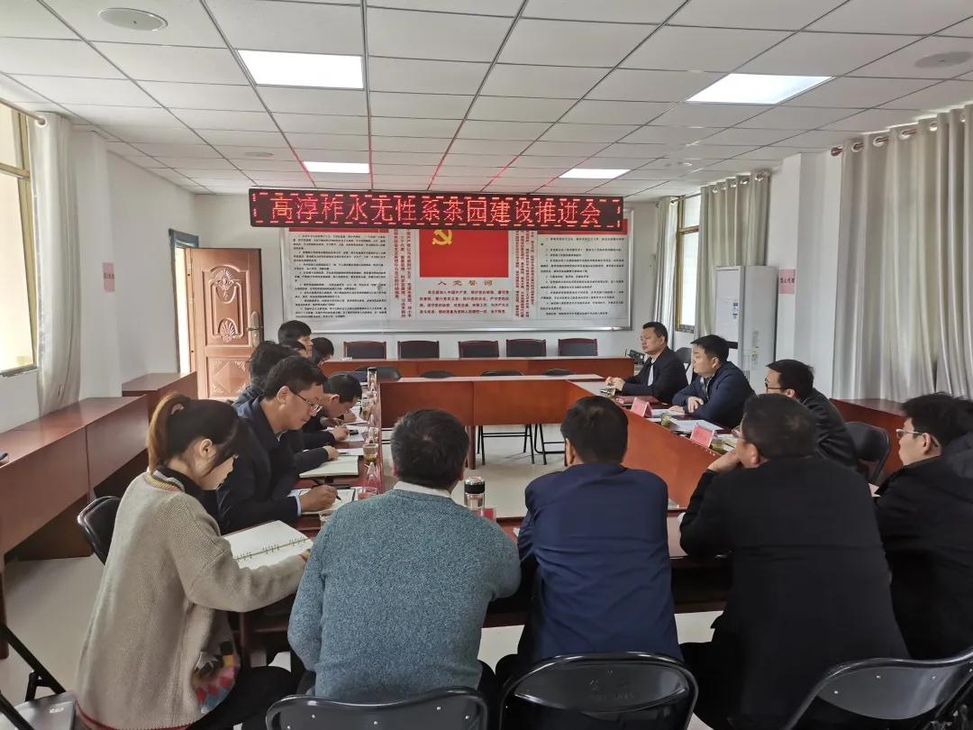 同心奔小康·柞水行|“山茶娃”凝聚浓浓“山海情”