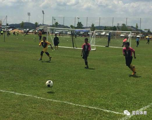 国足不踢亚洲杯了吗,国足不传球归化球员