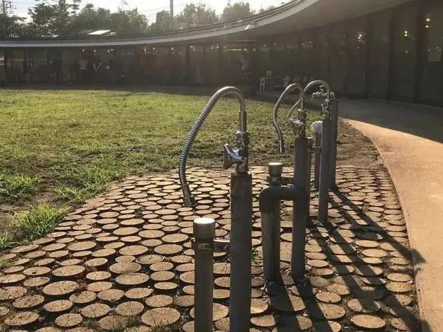 日本最棒的幼儿园,日本最顶尖的幼儿园