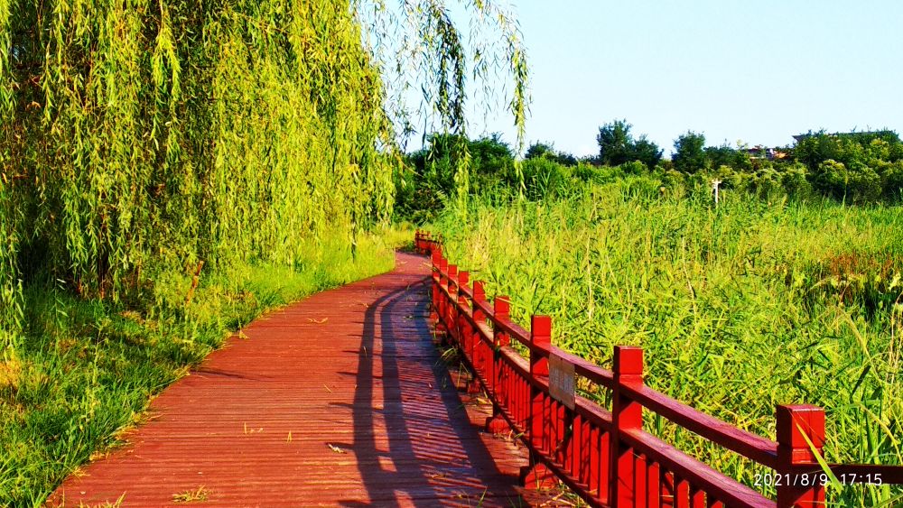 仲秋季，进阎良，三顾石川河