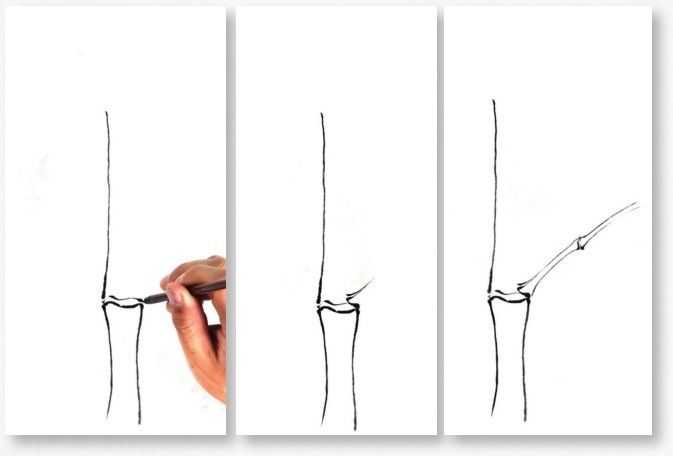 国画基础教程竹子的画法,竹子国画画法教程