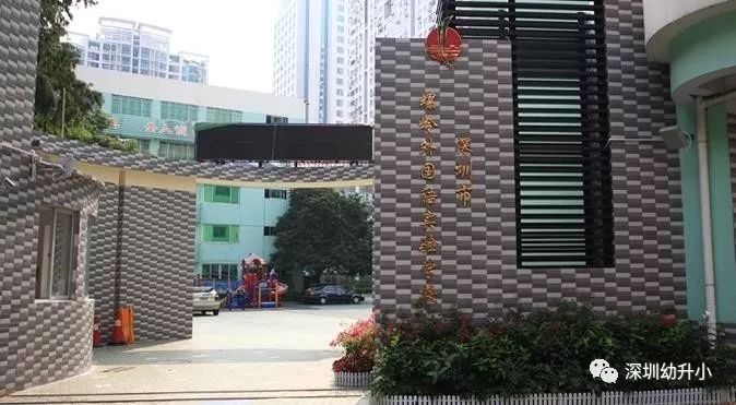 深圳最新的重点小学排名,深圳各区排名前十的小学