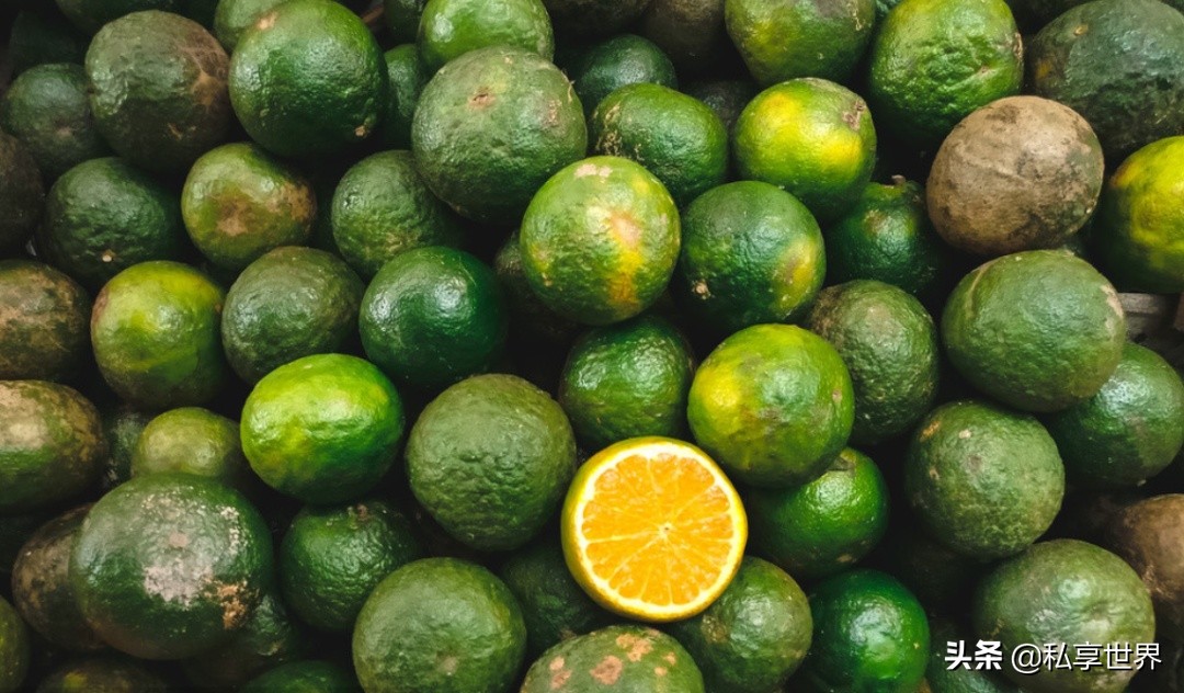 现在哪里的橙子最好吃,全国哪些地方的橙子好吃水分多