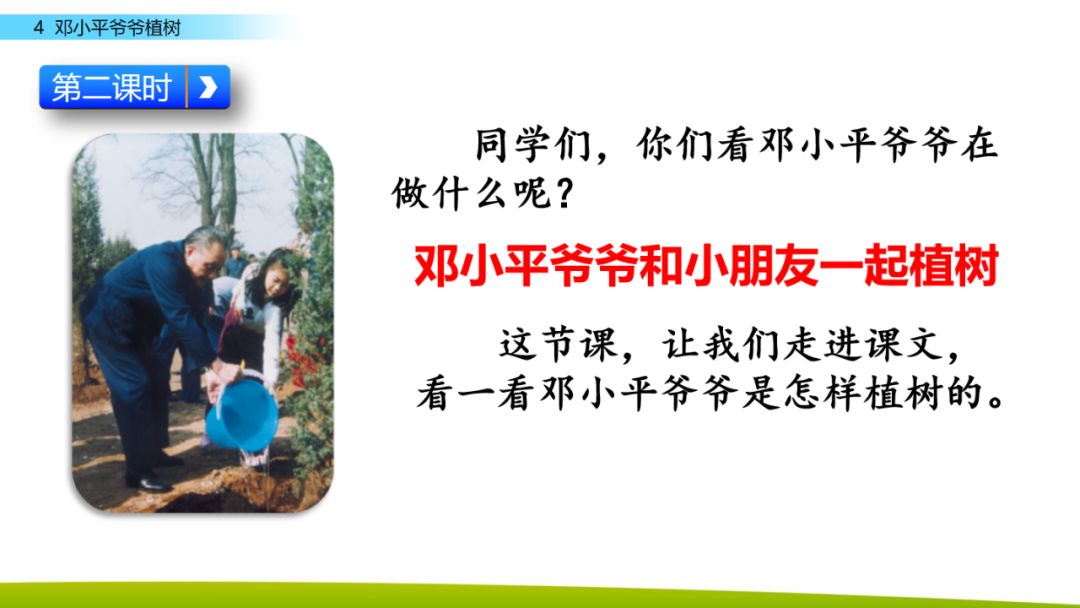 部编版二年级下册语文第4课《*小平邓**爷爷植树》知识点+图文讲解