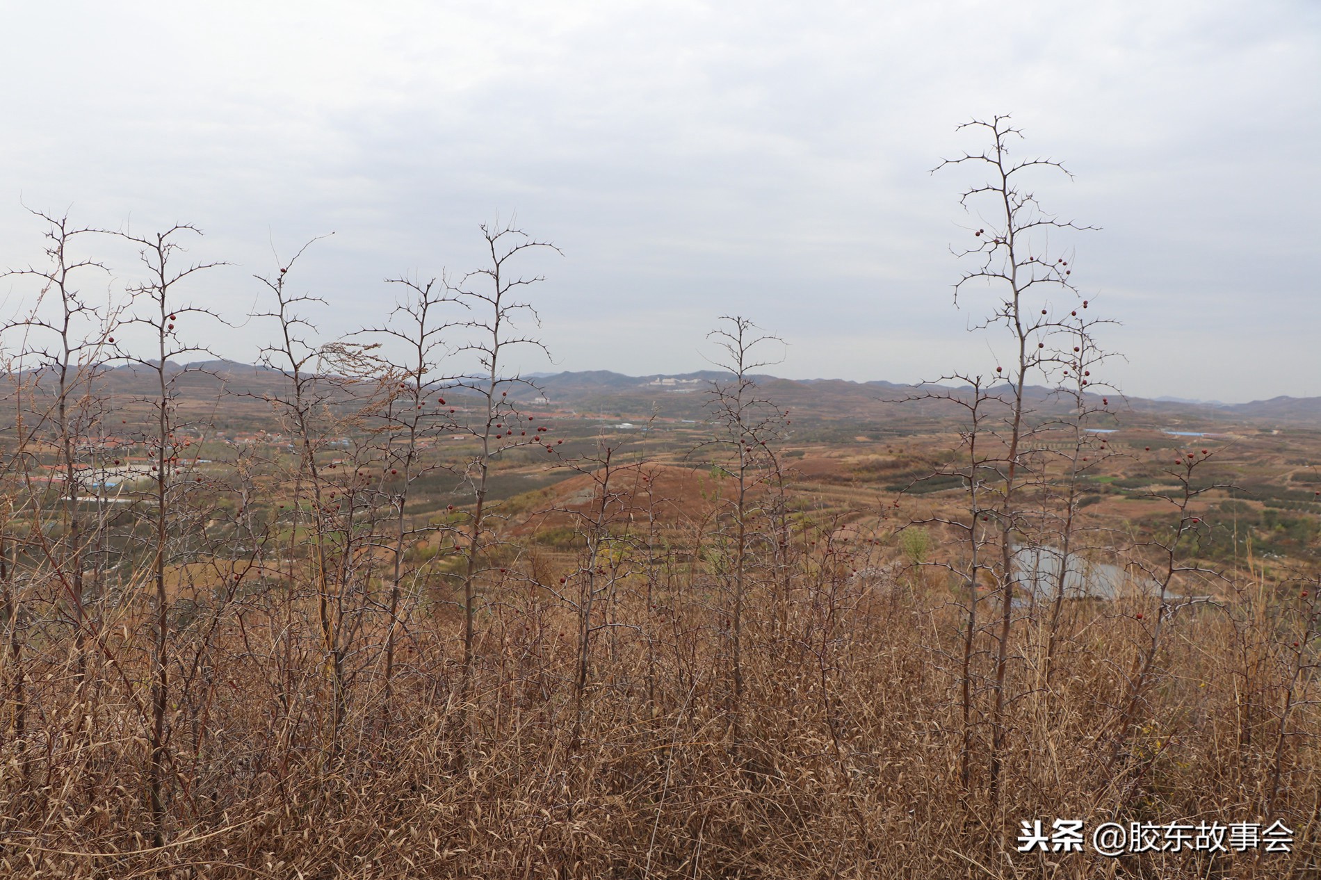 爬海阳的山,海阳哪座山最适合爬山