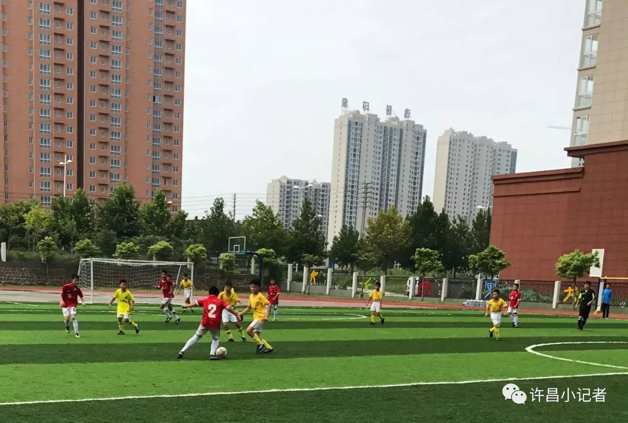 第28届市长杯足球联赛小学,小学生省长杯足球联赛
