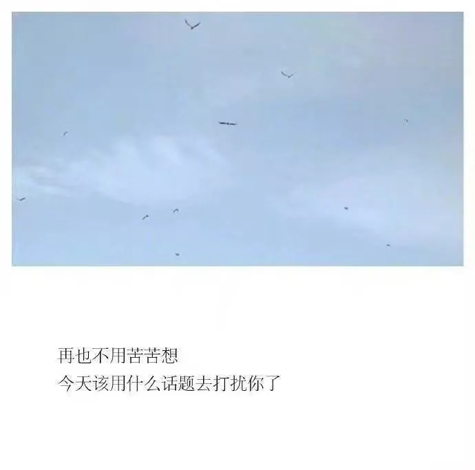 碰了感情就会让自己难受,触碰了爱情会怎样