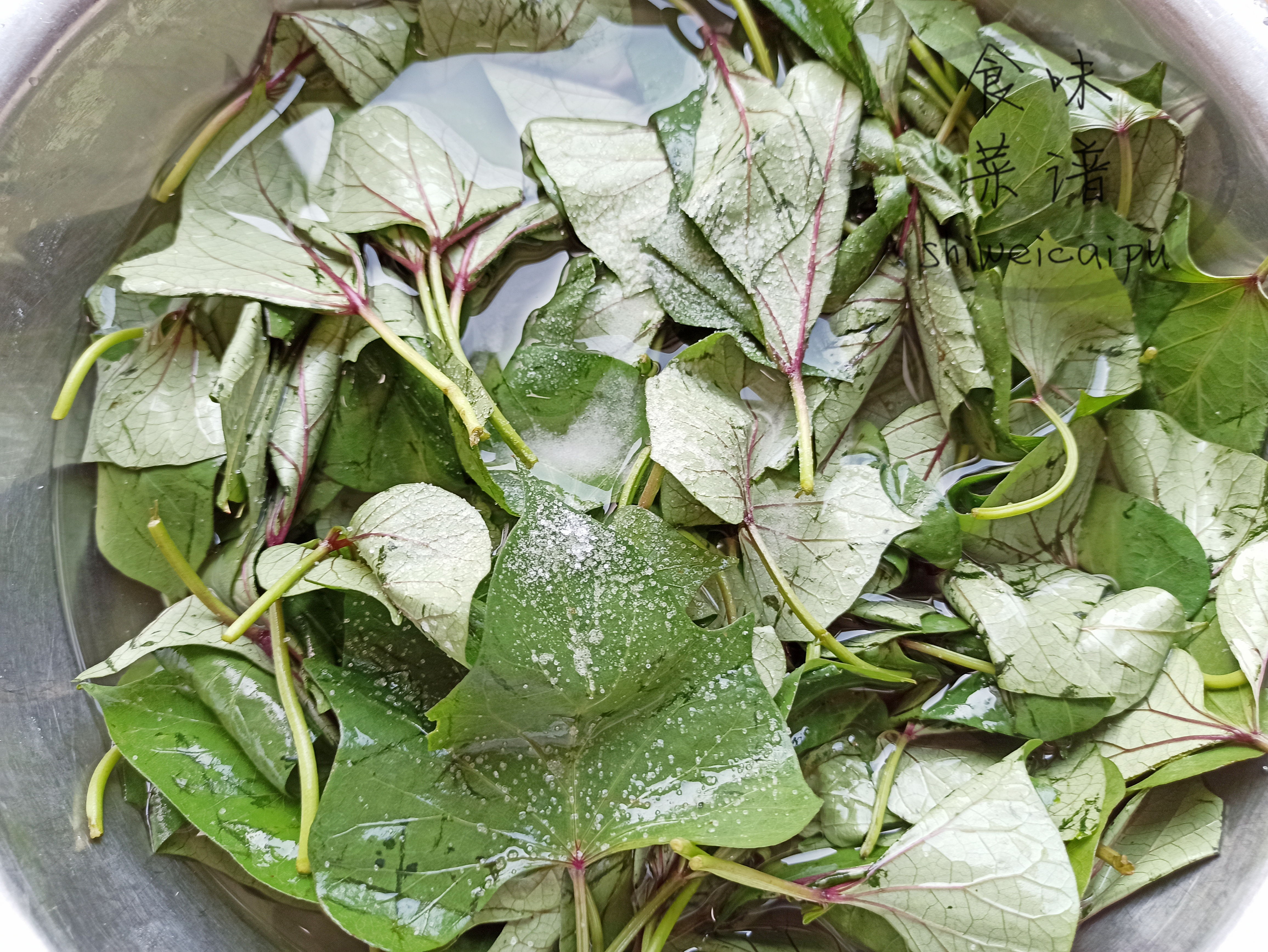 春天家常蒸菜100道不上火,春季有哪些蒸菜做法好吃