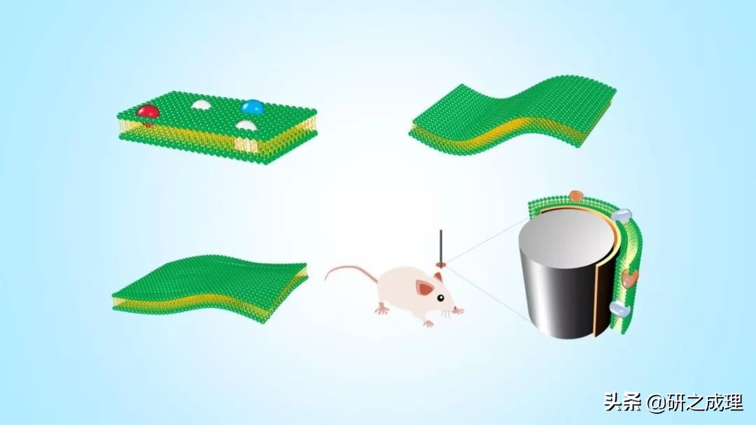 3d晶体科研绘图ppt,用ppt做3d科研图