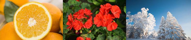 真正的富人不会大手大脚的花钱,富人为什么不爱花钱