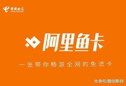 电信阿里大鱼卡资费,电信阿里鱼卡1元套餐