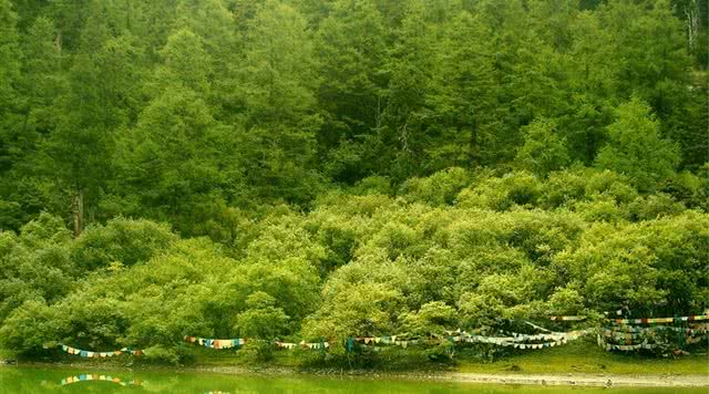 四川大渡河峡谷国家地质公园 (四川中江羚羊峡谷)