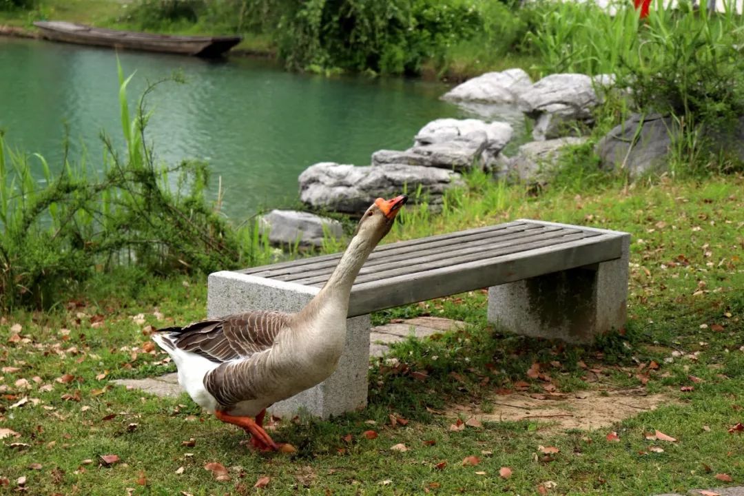 苏州工艺美院,苏州工艺美院代码