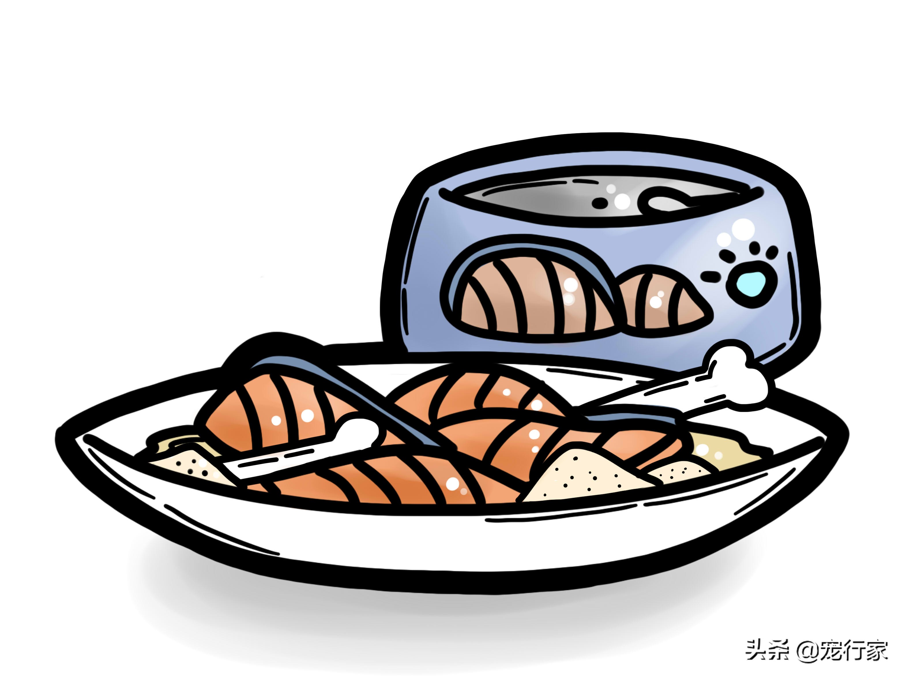 生骨肉猫吃得少,猫粮生骨肉的喂养方法