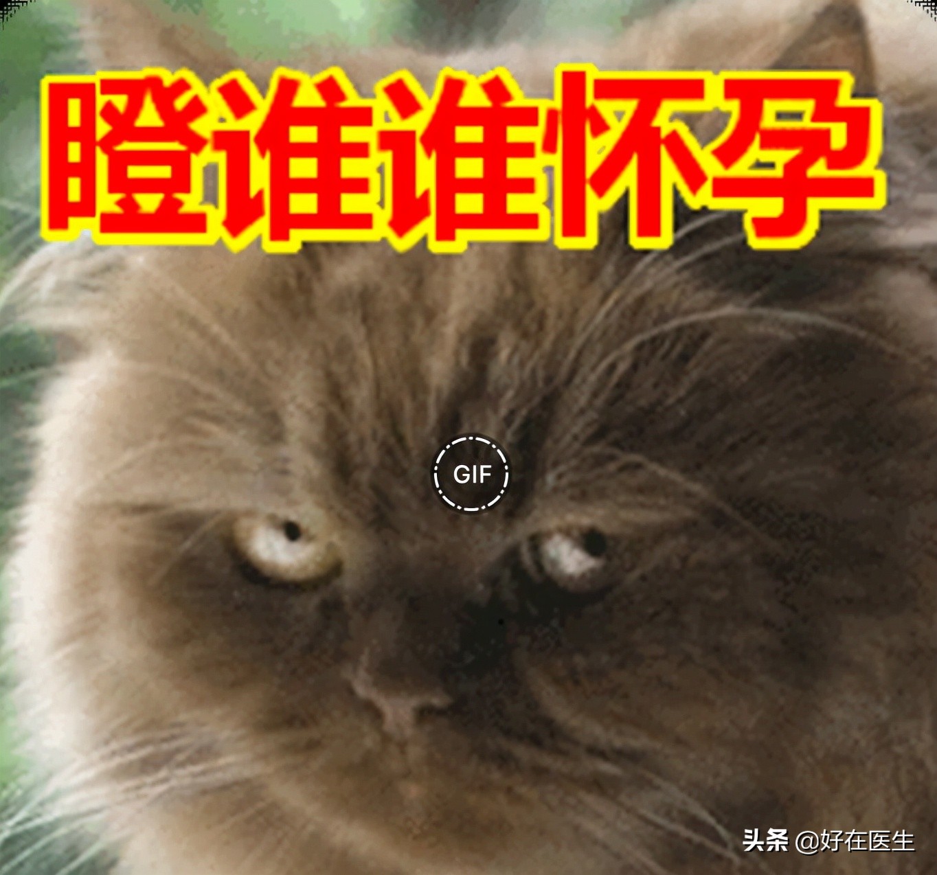 女性易孕最佳时间,易孕体质的女人有安全期吗