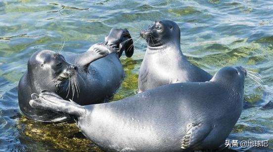 贝加尔湖的无解之谜,贝加尔湖的特征有哪些