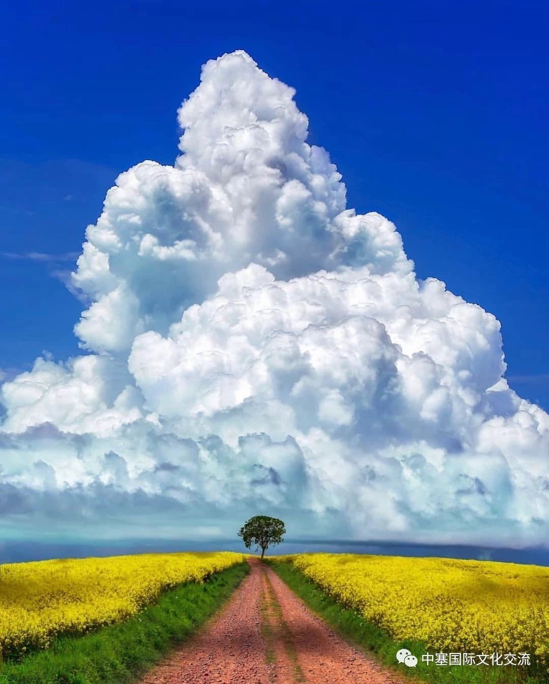 塞尔维亚孤单星球,塞尔维亚十大孤独星球