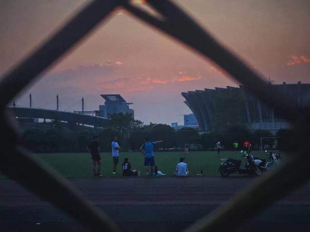 全国大学高水平运动员招生简章,多所高校宣布停招高水平运动队