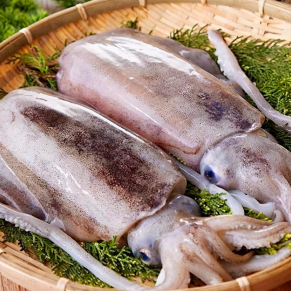 鲜嫩脆爽的北海墨鱼图片,墨鱼脆爽