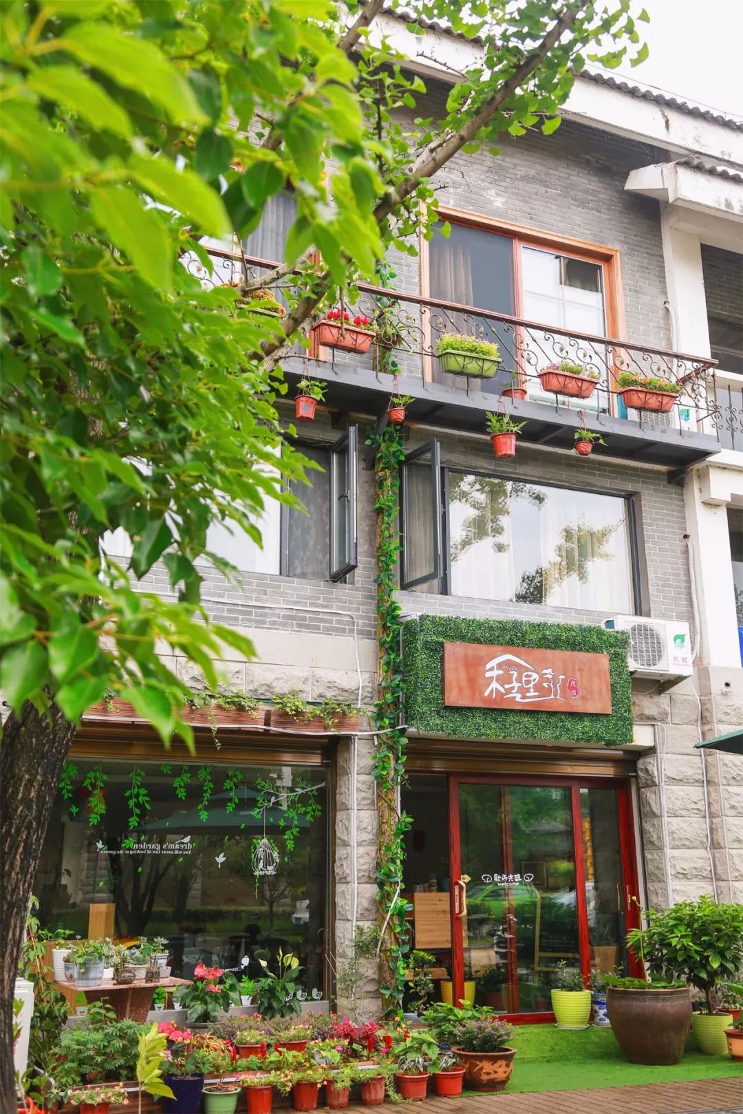 丽水缙云民宿客栈推荐,浙江丽水最好的民宿