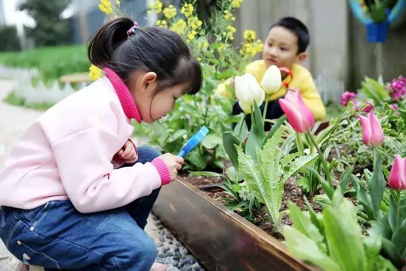 拥抱春天播种绿色植树节广播稿,拥抱春天播种绿色活动