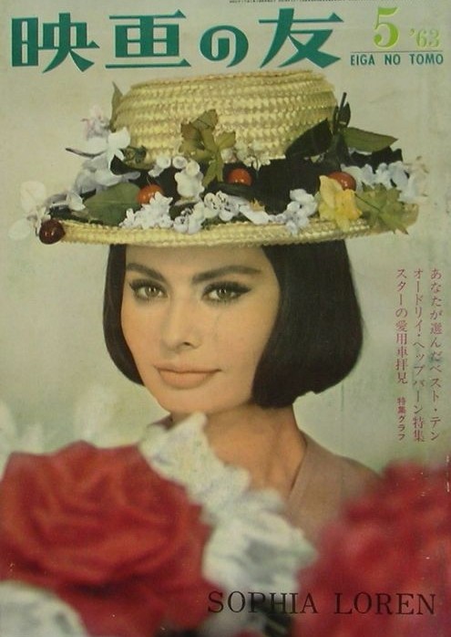 索菲亚罗兰女性特征,索菲亚罗兰年轻时的样子