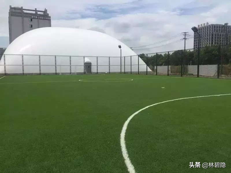 上海最贵的贵族学校,上海最贵学校排名前十