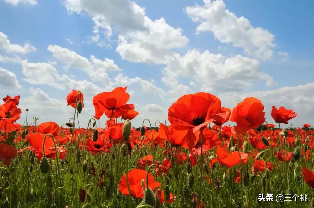 今年流行的裙子不穿高跟鞋,穿今年最流行的裙子