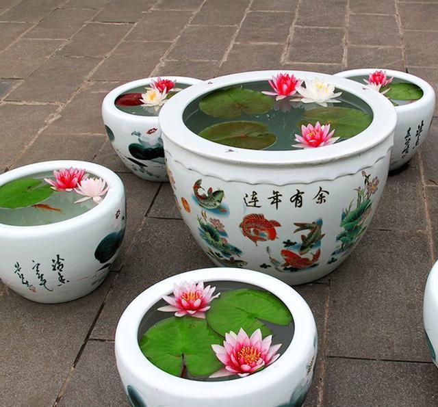 碗莲怎样养才能爆开花,碗莲怎么养叶子大开花多