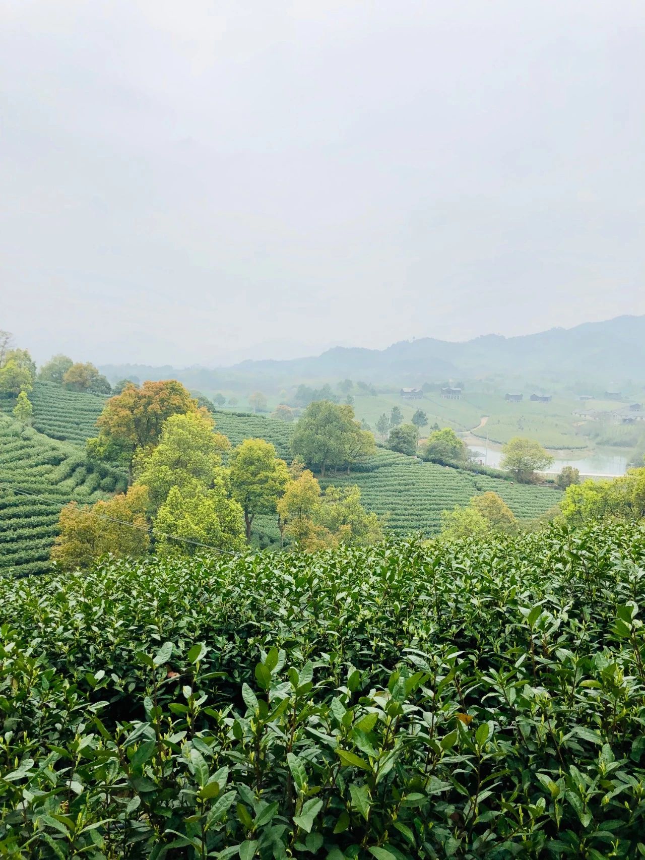 安吉城堡酒店主题房间,安吉带小孩子玩的度假酒店