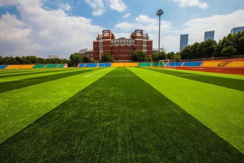 大连海事大学和辽宁省哪个级别高,大连海事大学辽宁省大学排名