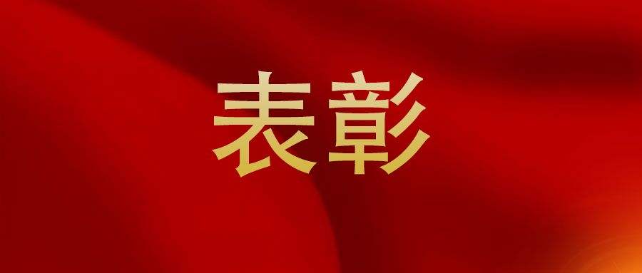 全名单来了！四川表彰100名优秀*产党共**员、100名优秀*党**务工作者和200个先进*党**组织