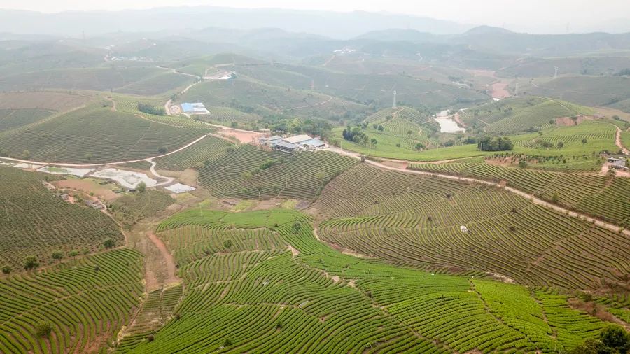 告庄西双景游玩多长时间,告庄西双景值得去吗