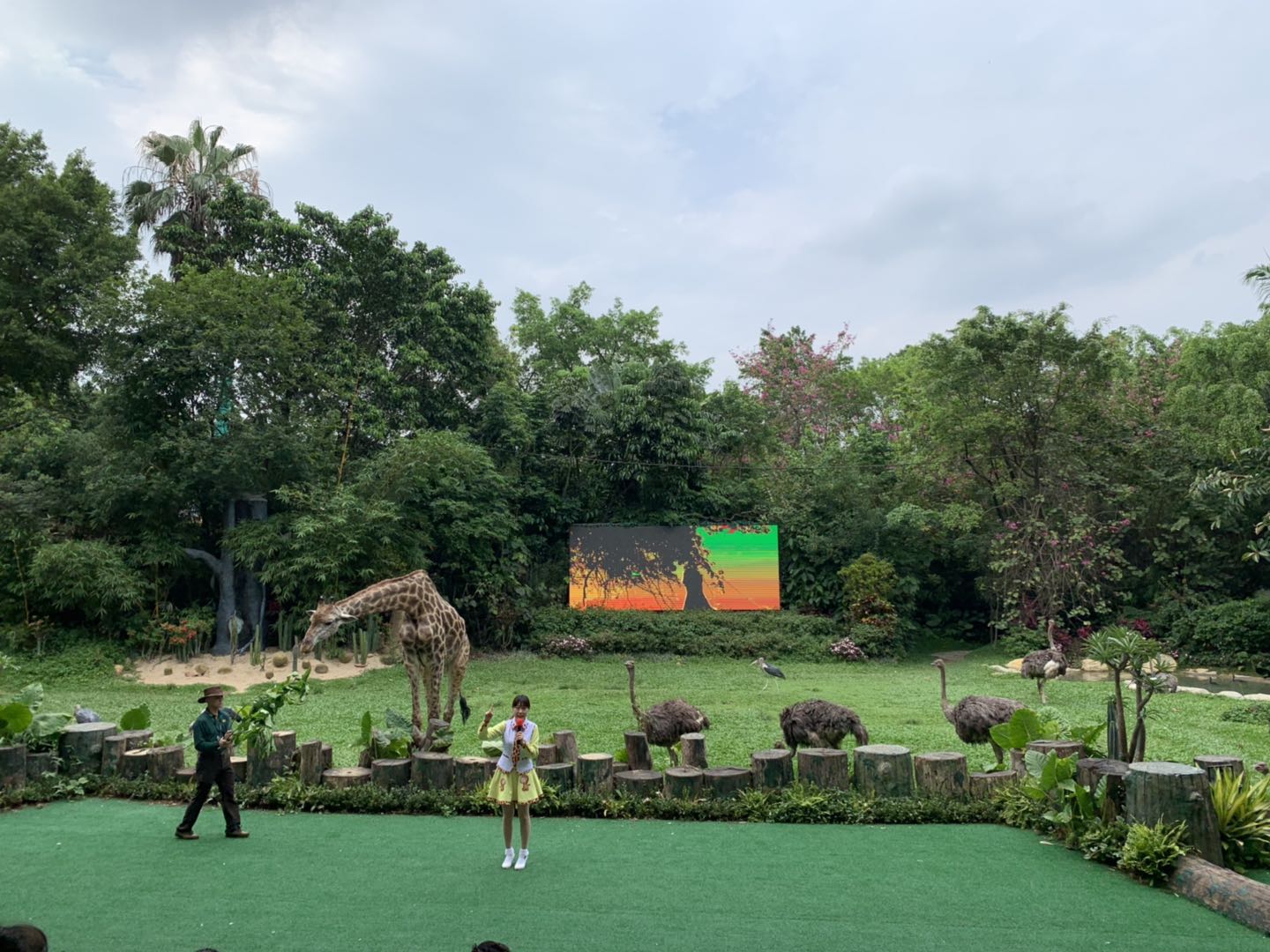 长隆野生动物世界推荐,长隆野生动物园必看动物