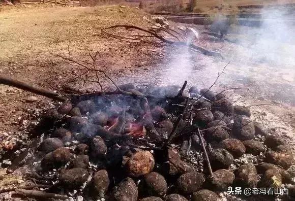山西忻州静乐天地藜麦,山西静乐县杂粮
