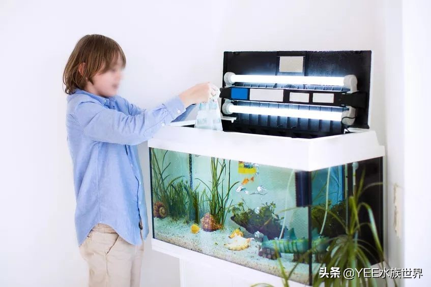 硝化细菌正确使用方法,新买的硝化细菌怎么用