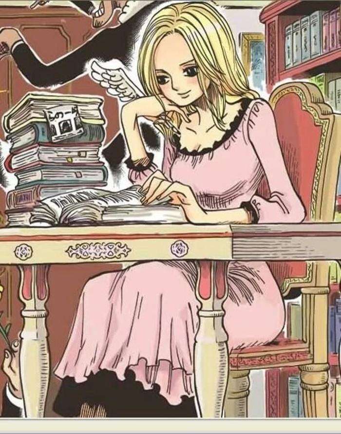 海贼王里十大最漂亮的女性,海贼王女性角色介绍大全