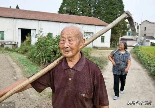 谈农村养老问题,说一下农村养老现象