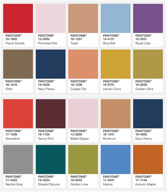 流行色的解释,潘通流行色是怎么确定的