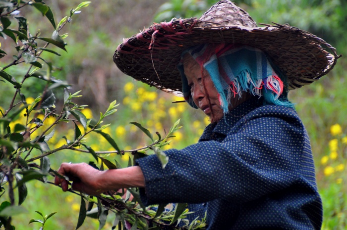 皖南旅游攻略最值得去的地方,皖南小众又绝美的地方