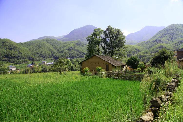 （31）美丽的龙山村